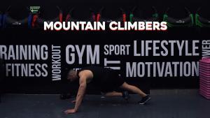 MOUNTAIN CLIMBERS - EJERCICOS
